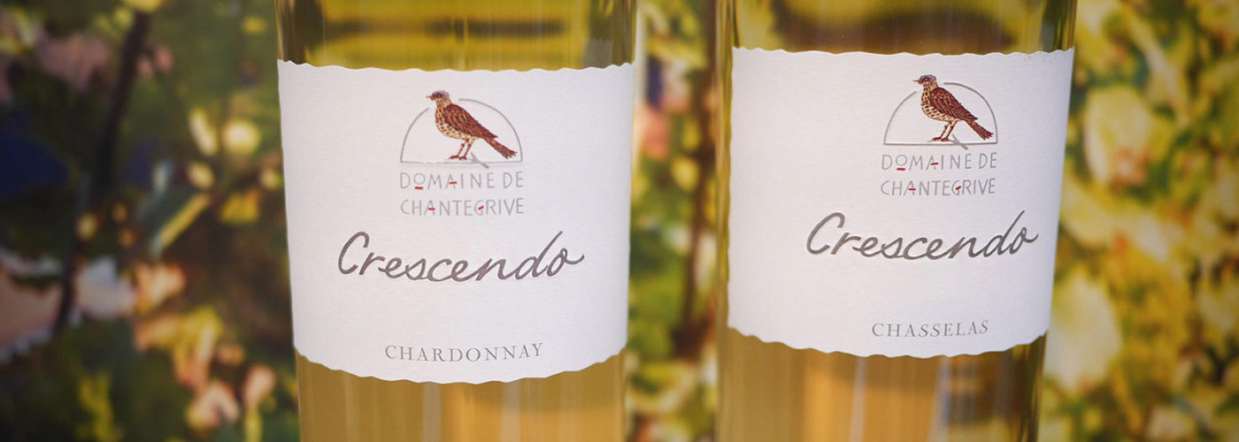 Bannière Chasselas Chardonnay Crescendo Domaine de Chantegrive