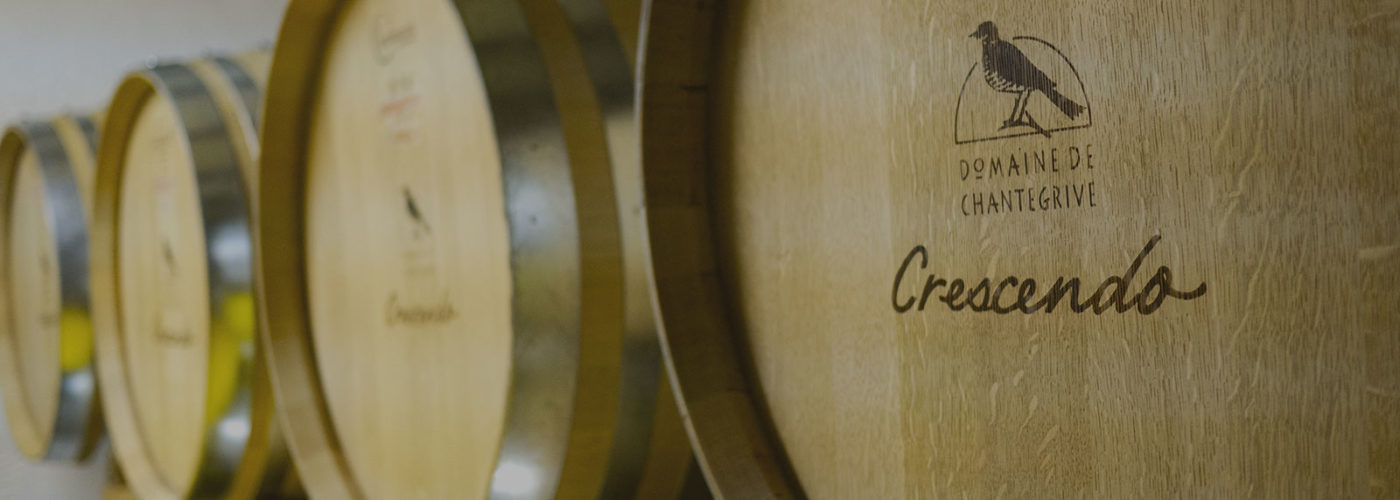 Bannière Vinification Domaine de Chantegrive